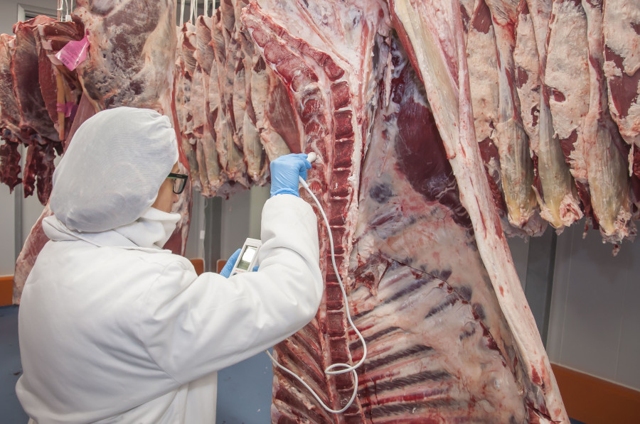 La compañía asistirá, por tercer año consecutivo, a Meat Attraction para presentar su nueva línea de negocio.