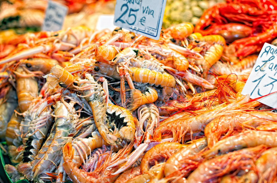 El 20º Congreso Aecoc de Productos del Mar reúne en Baiona a cerca de 300 profesionales de todo el país.
