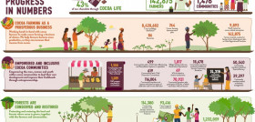 El programa Cocoa Life cubrirá el 100 % de todo el cacao necesario para las marcas de chocolate de la compañía.