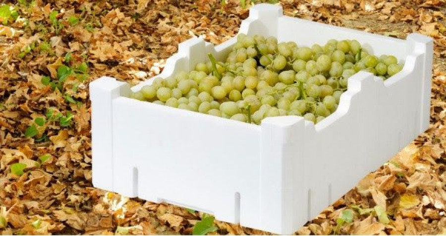 Knauf Industries, especializada en el diseño y producción de embalajes, propone el empleo de espuma alveolar expandida en la fabricación de cajas de transporte para prolongar la vida de las frutas,