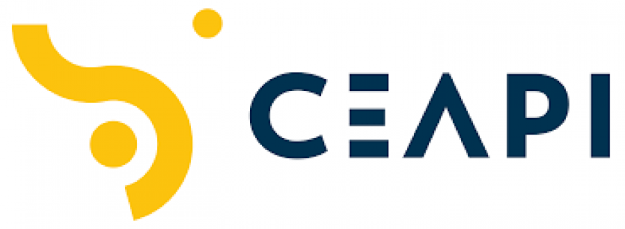 Ceapi es una organización formada por 130 empresarios privados con vocación iberoamericana.