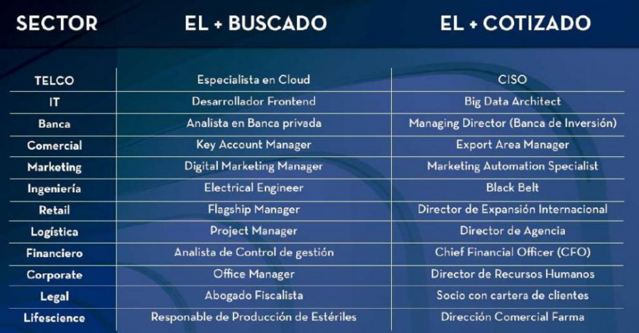 Fuente: XIV Informe Los   Buscados de Spring Professional.