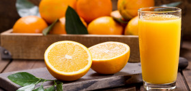 La producción de naranja y de pequeños cítricos supondrá la mayor parte del total de cítricos de esta campaña (83,4%).
