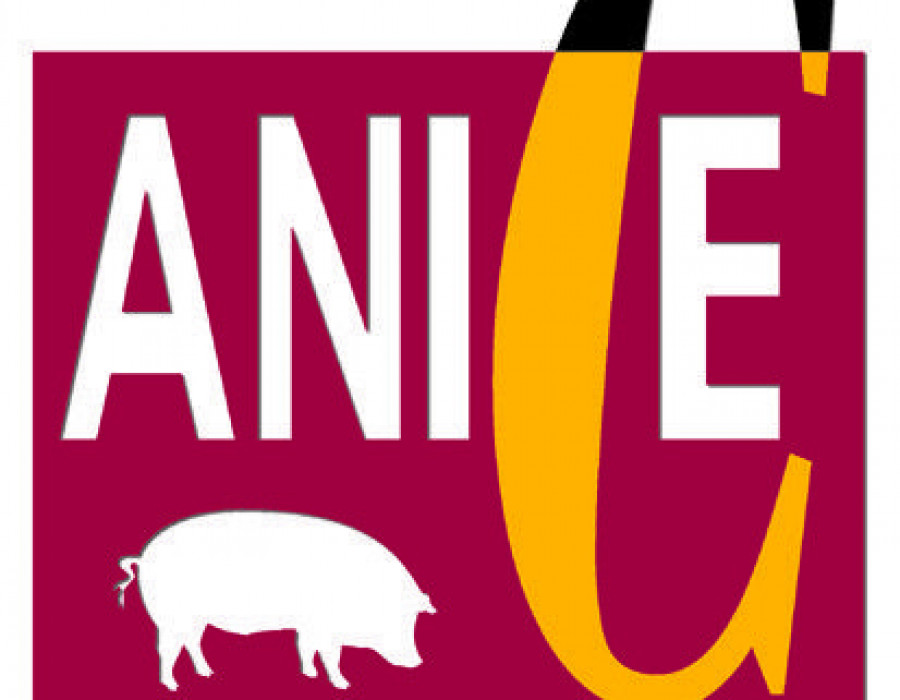 La Asociación Nacional de Industrias de la Carne de España (Anice) ha celebrado recientemente una reunión del Grupo de Trabajo de Medio Ambiente donde se han abordado estos temas.
