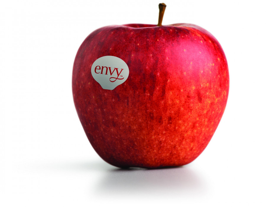 La variedad club envy, de los productores NUFRI, VOG y VI.P, vuelve a los lineales españoles, con un aumento de la cosecha.