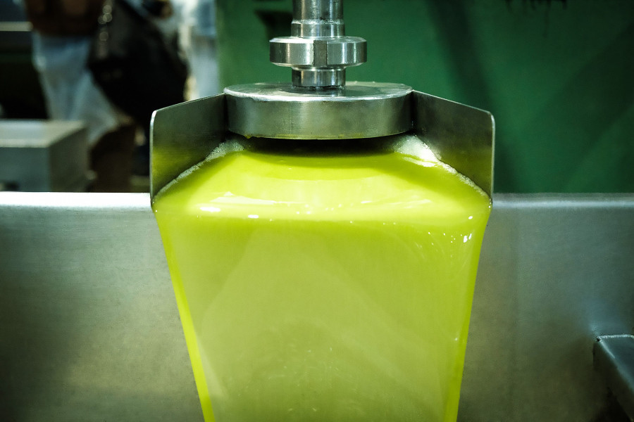 El objetivo de Acesur en esta campaña es obtener aceites verdes con alto sabor a frutado fresco.