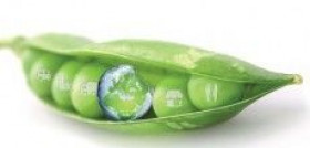 La iniciativa, coordinada por Aecoc, engloba acciones en todos los eslabones de la cadena alimentaria, desde productores a grandes centros de distribución o consumidores.