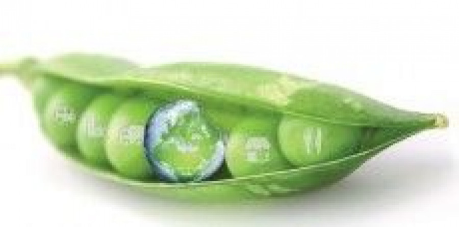 La iniciativa, coordinada por Aecoc, engloba acciones en todos los eslabones de la cadena alimentaria, desde productores a grandes centros de distribución o consumidores.