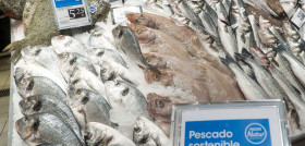 En su Política de Pesca Sostenible, la cooperativa apoya el desarrollo de las pesquerías respetuosas con el ecosistema marino.