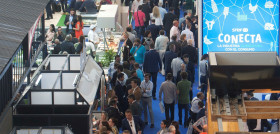 El número de expositores total este año alcanzó los 742, un 21% más que el año pasado.