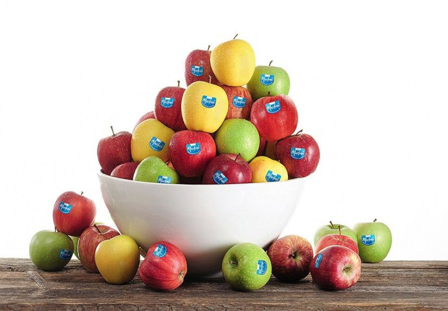 Marlene regresa también a todos sus mercados con las variedades Golden y Red Delicious, a las cuales les seguirá la Granny Smith.