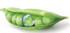 Cerca de 300 profesionales de la cadena agroalimentaria se reunirán para conocer las mejores iniciativas para combatir el desperdicio de alimentos en España.