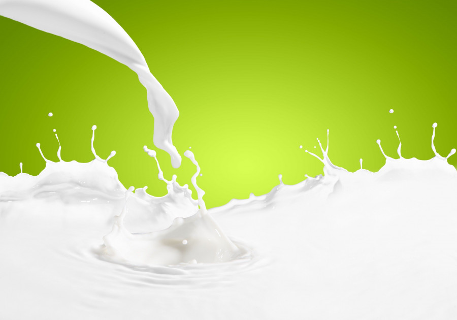 El proyecto regula el papel de las organizaciones de productores en el sector lácteo.