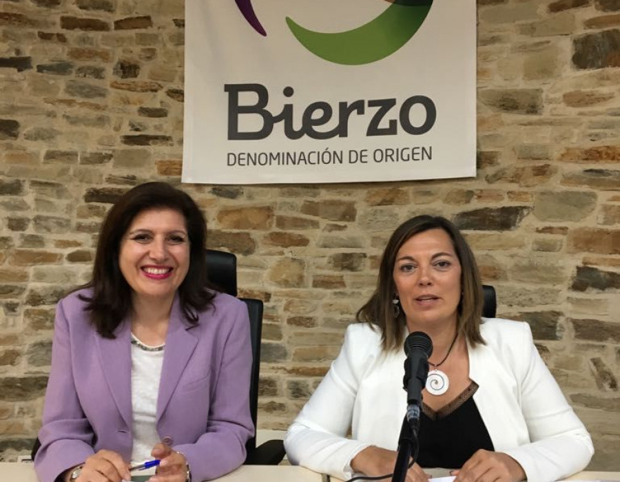 La consejera de Agricultura y Ganadería ha presentado el Informe Nielsen en la sede del Consejo Regulador de los Vinos del Bierzo.