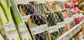 Para este año está previsto un aumento significativo de la producción: se espera llegar a las 32.700 toneladas de fruta y verdura ecológica, gracias a la puesta en marcha de la nueva planta indust