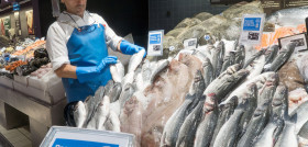 Las especies que comercializará con dicho sello son la dorada, corvina, lubina y rodaballo.