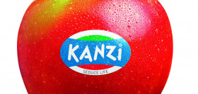 La comercialización de la manzana club Kanzi terminará a mediados de mayo.