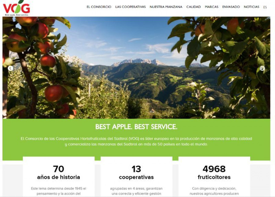 La nueva web del VOG es más internacional e intuitiva.