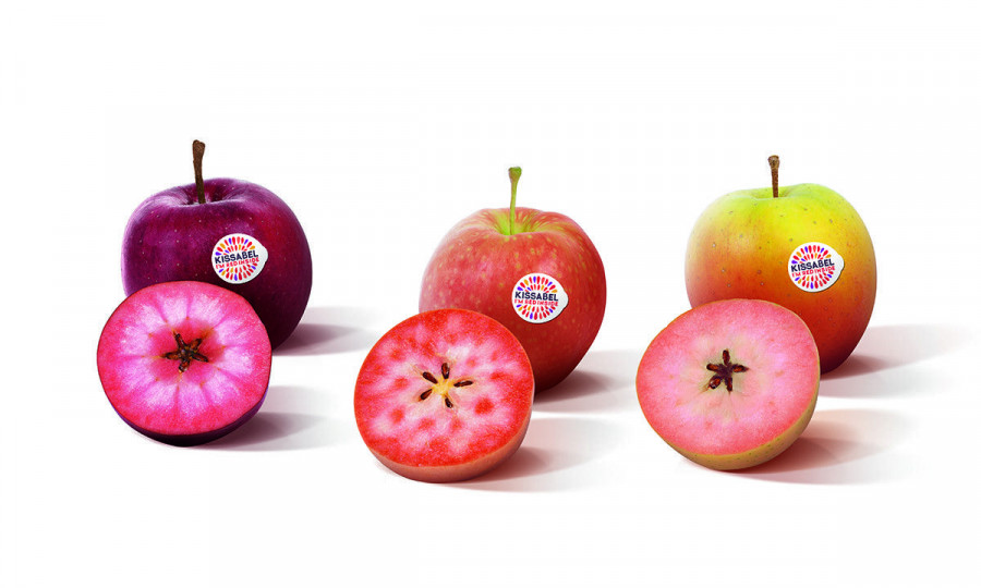 Tres son las variedades de la marca Kissabel elegidas para las primeras pruebas comerciales: Kissabel Rouge, Kissabel Orange y Kissabel Jaune.