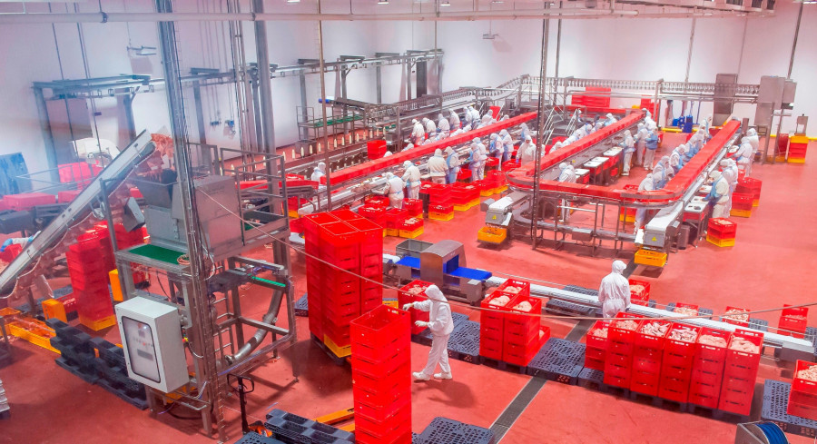 En los cuatro primeros meses de 2017, Tamboskaia Indeika ha comercializado cuatro millones de kilos de carne de pavo.