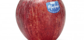 El nuevo diseño valoriza de forma moderna y global el origen territorial de Marlene.