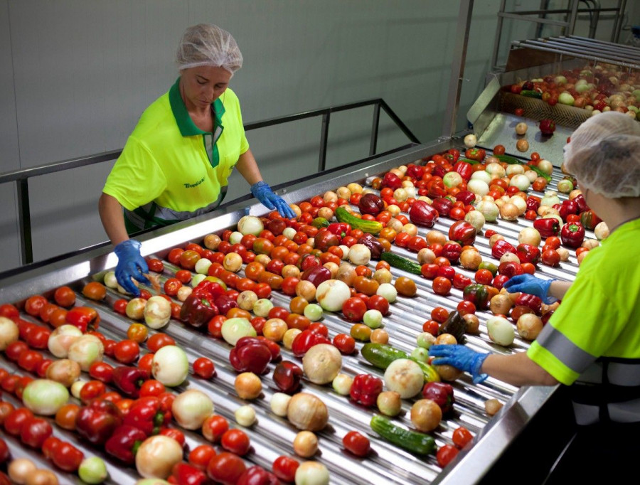 La capacidad de la nueva planta permitirá ampliar en un 50% la producción de gazpachos, sopas frías y cremas vegetales de la marca Alvalle.