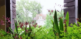El crecimiento y mantenimiento de las ventas de insecticidas se ha visto beneficiado en los últimos años por los efectos del cambio climático en las temperaturas.