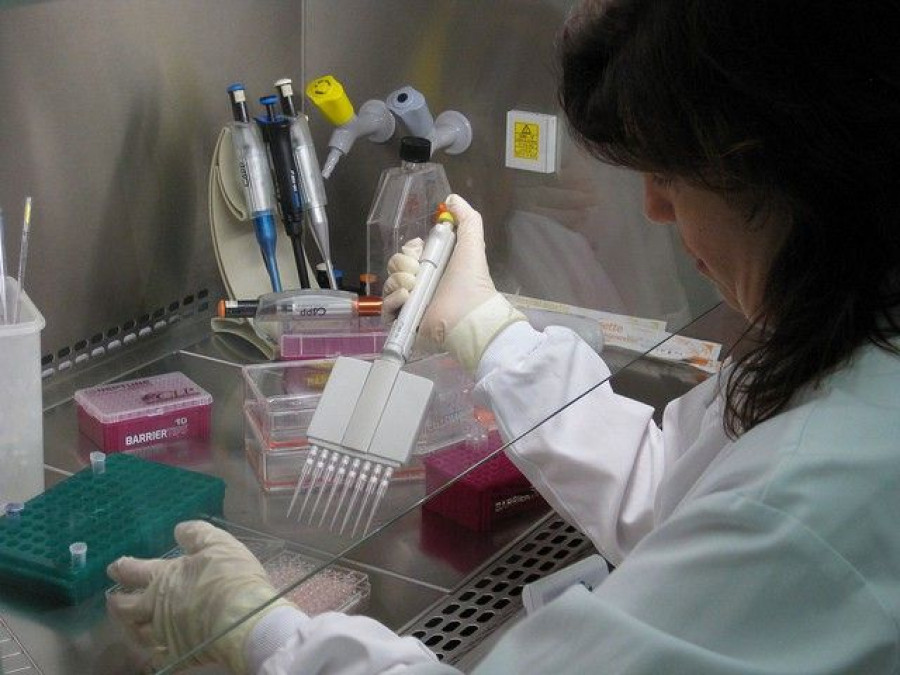 Cada año se reformula la cuarta parte de los productos cosméticos que se fabrican y cerca de un 10% incorpora nuevos ingredientes y moléculas.