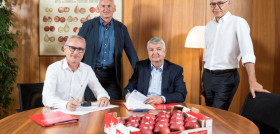 VOG ha firmado un acuerdo con Kiku Variety Management para cultivar la manzana de la cáscara roja en 100 hectáreas de terreno del Alto Adige - Südtirol y comercializarla en Europa.