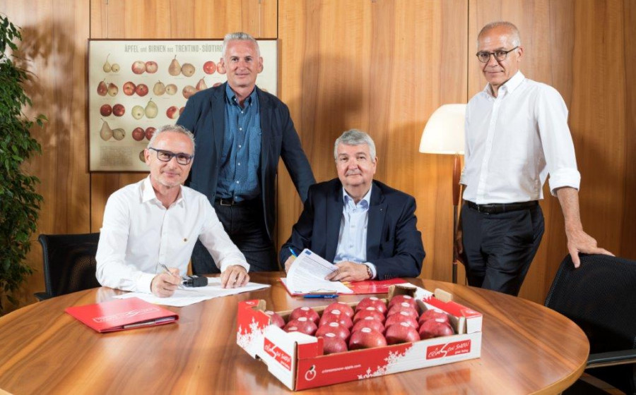 VOG ha firmado un acuerdo con Kiku Variety Management para cultivar la manzana de la cáscara roja en 100 hectáreas de terreno del Alto Adige - Südtirol y comercializarla en Europa.
