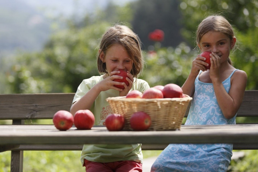 La demanda de manzana biológica ha aumentado esta temporada entre un 5% y el 8% en Europa.