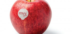 La marca envy identifica las manzanas de la variedad Scilate, cruce de Royal Gala y Braeburn.
