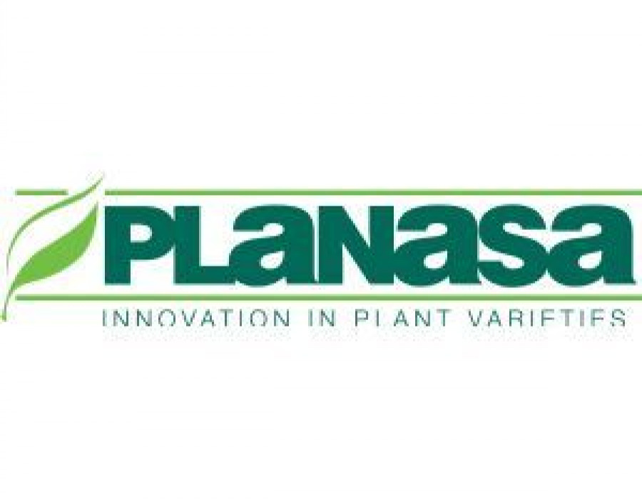 El nuevo director general de Planasa Holland cuenta con más de 35 años de  experiencia en el sector.