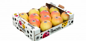 Variedad de manzana Gold Delicious.