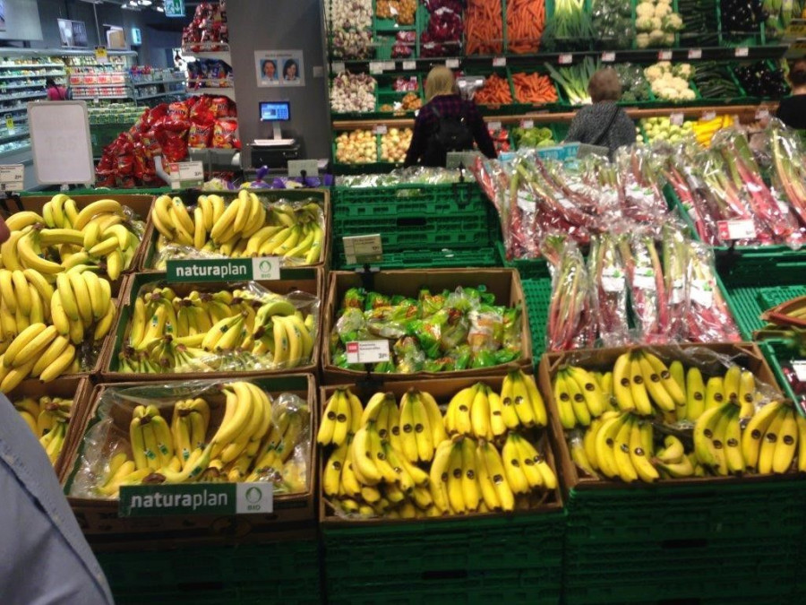 Europlátano reabre el mercado Europeo para el Plátano Canario con su marca  Canary Gold.