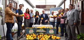 Ángel Medina, presidente de SPAR Gran Canaria y la alcaldesa de Telde, Carmen Hernández, junto a los agricultores y representantes de las fincas adscritas al convenio de la naranja de Telde.