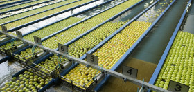 Con capacidad para 16.000 bins y automatizando incluso el paso del almacén a las líneas de elaboración, TEXEL se ha convertido en una instalación de tecnología puntera.