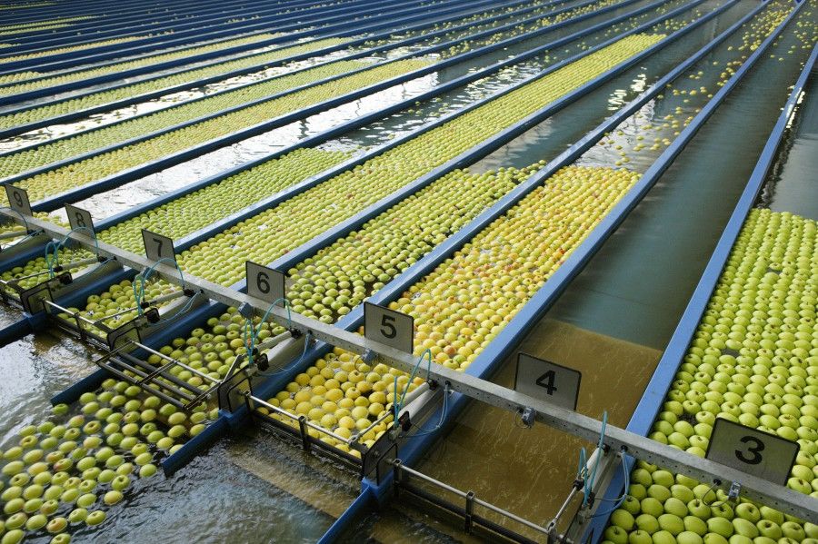 Con capacidad para 16.000 bins y automatizando incluso el paso del almacén a las líneas de elaboración, TEXEL se ha convertido en una instalación de tecnología puntera.