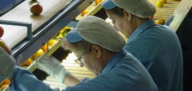 Fepex prevé que el comportamiento positivo de la exportación observado en  septiembre se mantenga en el último trimestre del año.