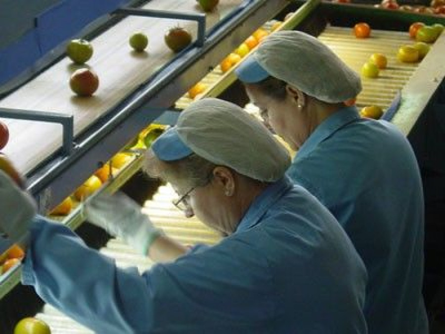 Fepex prevé que el comportamiento positivo de la exportación observado en  septiembre se mantenga en el último trimestre del año.