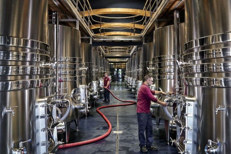La bodega de la Rioja Alavesa da un importante salto tecnológico optimizando todo su proceso enológico.
