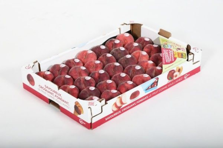 Los productor Regal'in se caracterizan por un color rojo anaranjado en un 90-100% del fruto y uniformidad en su aspecto externo.