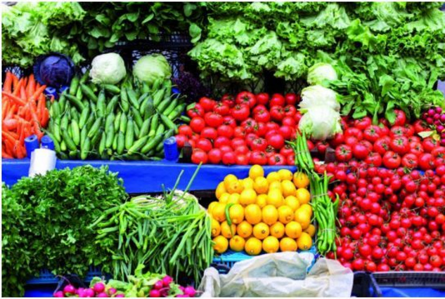 Los productos hortofrutícolas lideraron las ventas del sector al exterior, con 3.076 millones, el 64% del total y un alza del 9,4%.