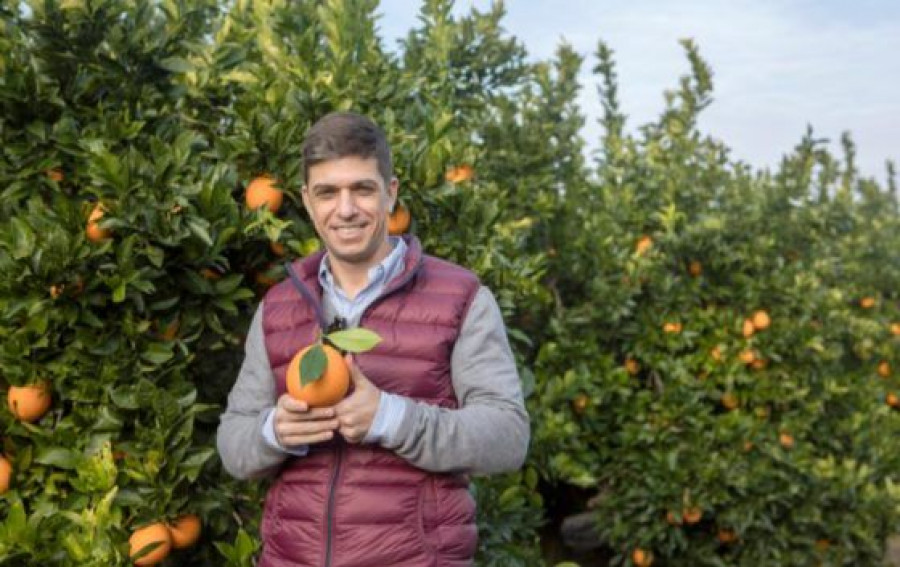Ernesto, Jefe de producto de Martinavarro, interproveedor de naranjas españolas en Mercadona.