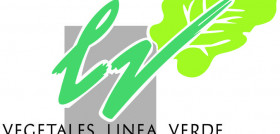 Vegetales Linea Verde tiene su sede en Tudela (Navarra).