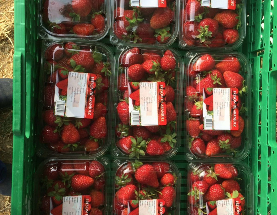 En menos de 24 horas, los clientes pueden disfrutar de Fresón de Aranjuez en los hipermercados.de Madrid y Toledo.