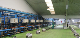 Sala de oxidación de la aceituna de mesa en la fábrica de Monturque (Córdoba).