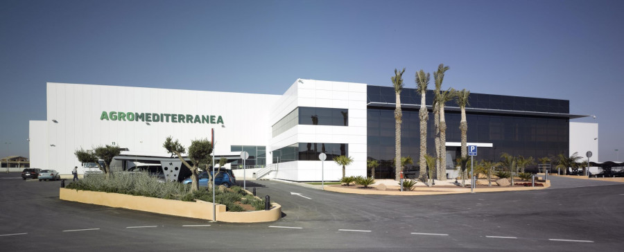 Agromediterránea comercializa actualmente más de 30 referencias de verduras.