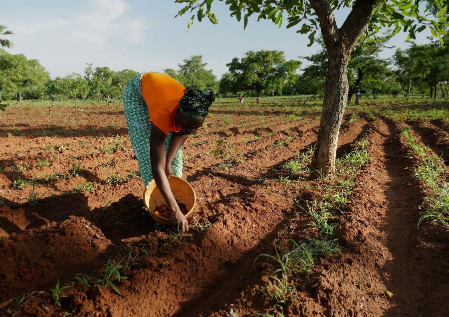 Solidarity Sourcing de L'Oréal en Burkina Fasso.