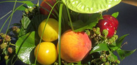 La Unión Europea destaca como el principal destino de las exportaciones españolas, reuniendo el 92% y el 94% de las ventas de frutas y hortalizas al exterior, respectivamente.